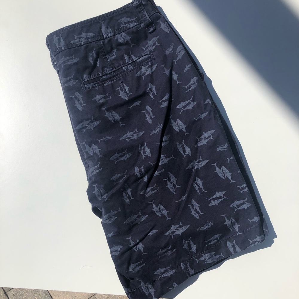 Aeropostale Men’s Shorts